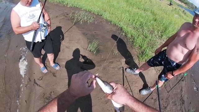 Рыбалка на Волге на хищников. смотреть онлайн