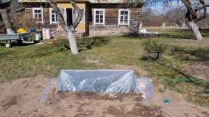 🎯 "МТЗ, Сосны и Туи: 🌲🚜 Такого еще не было на хуторе. Часть первая #хочувдеревню #хутор