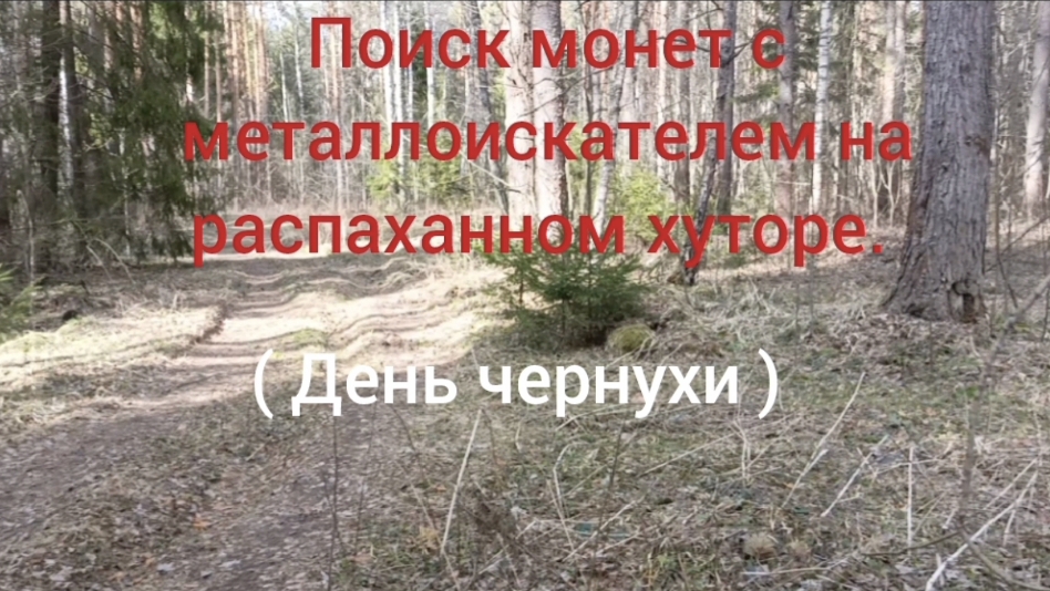 поиск монет с металлоискателем на распаханном хуторе.
