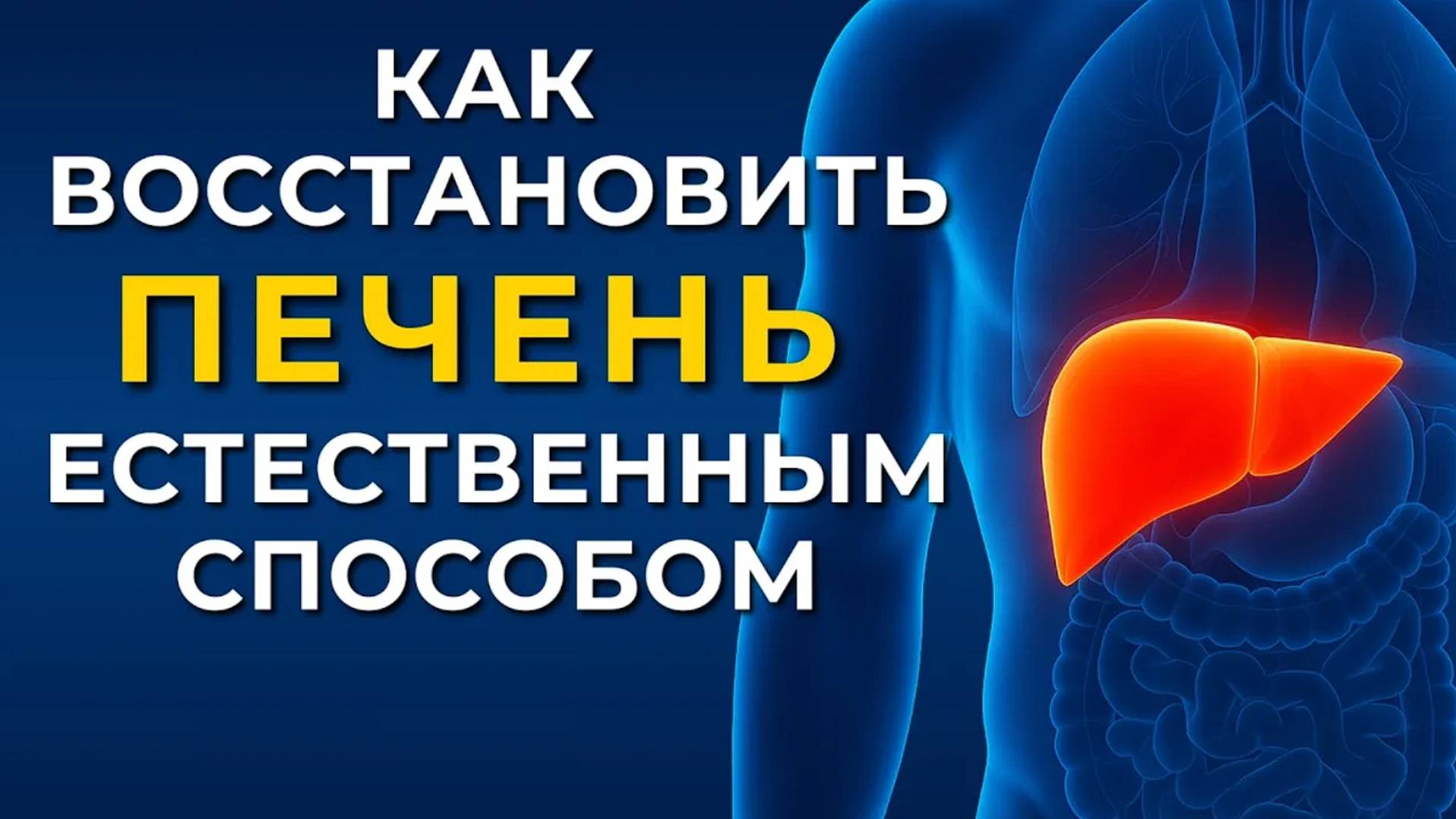 Вот как восстановить печень естественным способом