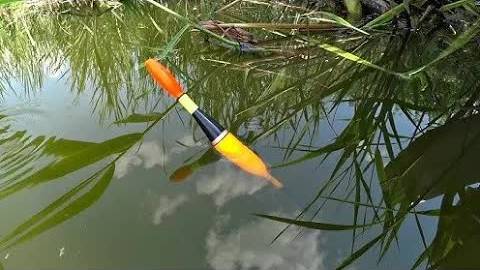 ВОТ_ЭТО_ВЫХОД_КРУПНЯКА_НА_ВЕЧЕРНЕЙ_ЗОРЬКЕ!!РЫБАЛКА_НА_ПОПЛАВОК_РЫБАЛКА