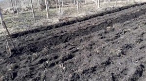Бугры под клубнику