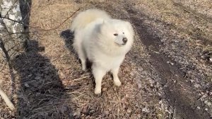 Какой хороший день,какие хорошие мы🤗😂🤣