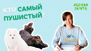 Какой зверь самый пушистый? Лесная почта Лапландского заповедника
