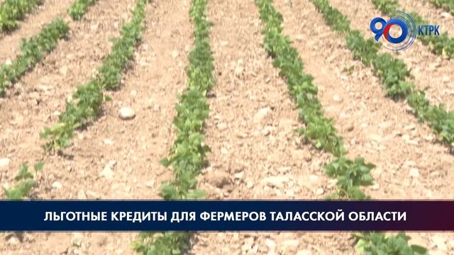 Льготные кредиты для фермеров Таласской области