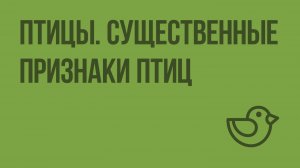 Птицы. Существенные признаки птиц. Видеоурок по окружающему миру 1 класс