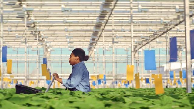 COLOR GRADING @suledsgn DAVINCI RESOLVE смотреть онлайн