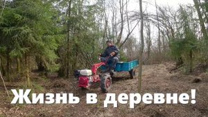 ОЧЕНЬ разнообразны дела деревенские в этом апреле! Деревню накрыл снежный шторм.