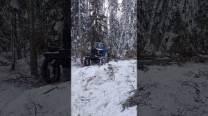 работа зимой в лесу , МТЗ 82 трелёвке,