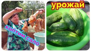 переезд на Юг/разругались из за сала/делаю рыбный фарш и котлеты