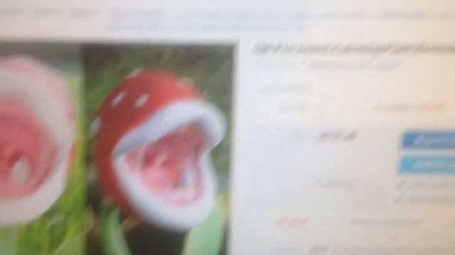 Real Life Mario Piranha Plant on Ebay ? смотреть онлайн