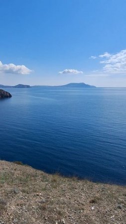 Крым сегодня: Можжевеловая роща в Новом Свете: красота и здоровье