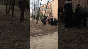 На субботнике. Мещерское озеро. Нижний Новгород // 5 апреля 2025 года
