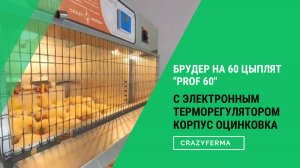 Видео-обзор БРУДЕРА на 60 ЦЫПЛЯТ С ЭЛЕКТРОННЫМ ТЕРМОРЕГУЛЯТОРОМ