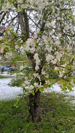 Погода сходит с ума 9 апреля #краснодарскийкрай