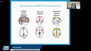 Транслингвальная нейростимуляция. Доказательная База. Чегина Дарья Сергеевна