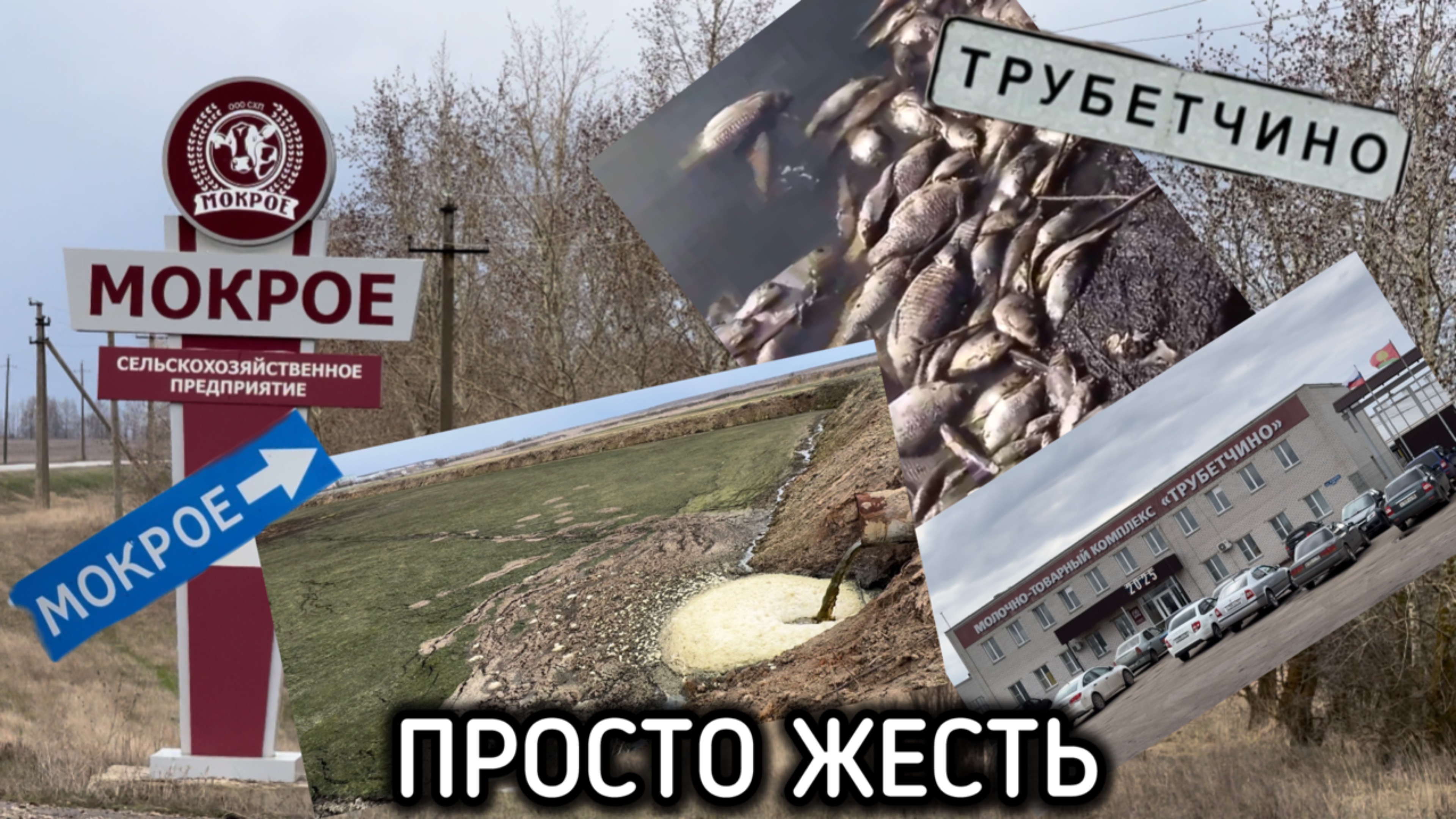 Экологическая катастрофа: жители просят А.И. Бастрыкина, главу СК РФ, обратить внимание на проблему