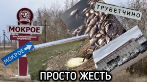 Экологическая катастрофа: жители просят А.И. Бастрыкина, главу СК РФ, обратить внимание на проблему