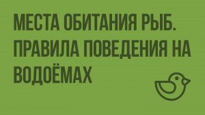 Места обитания рыб. Правила поведения на водоемах. Видеоурок по окружающему миру 1 класс