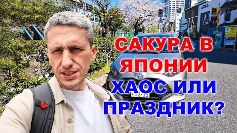 09-04-2025 | САКУРА В ЯПОНИИ — ХАОС ИЛИ ПРАЗДНИК Почему я НЕ ЛЮБУЮСЬ цветением в Токио в 2025