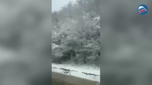 Снег на юге России: апрельский снегопад застал врасплох Краснодарский край