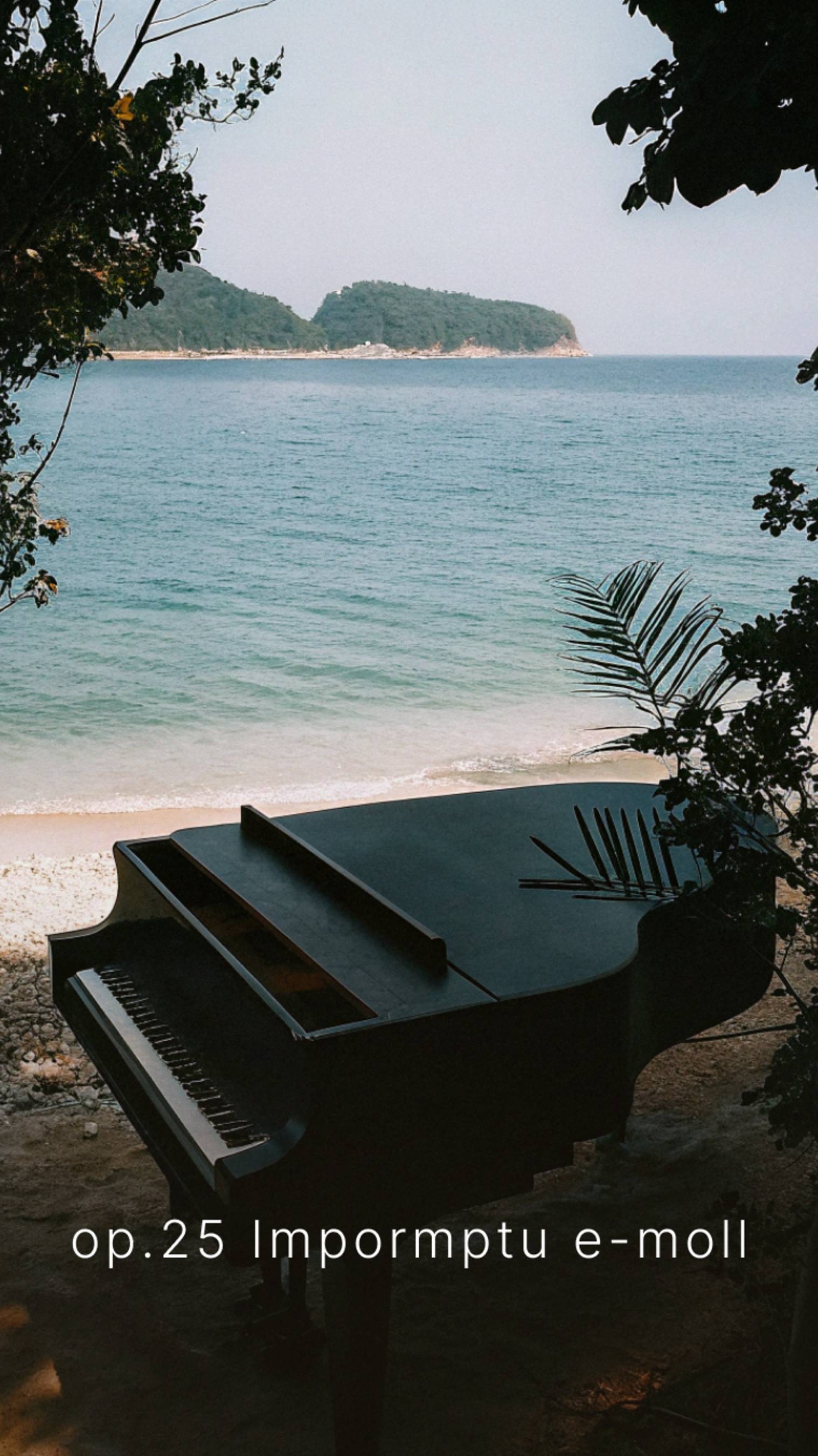 Больше музыки на канале #piano #классическая_музыка #фортепиано #современная_классика #неоромантизм