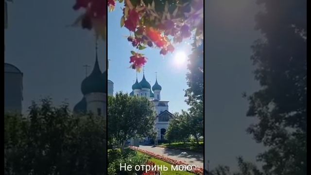 Пресвятая Богородица спаси нас !