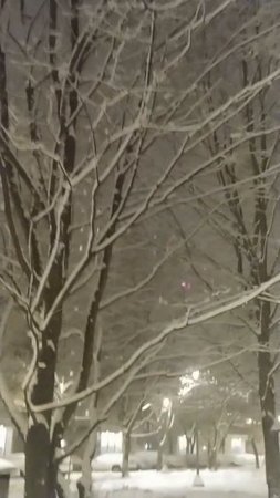 Весна со снегом в Москве погода сейчас Снегопад #погода #весна #снег #Москва #