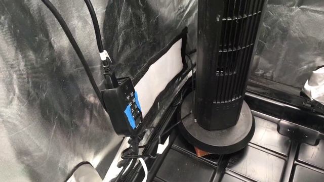 How to setup a 3x3 tent, Alternate setup with tower fan смотреть онлайн