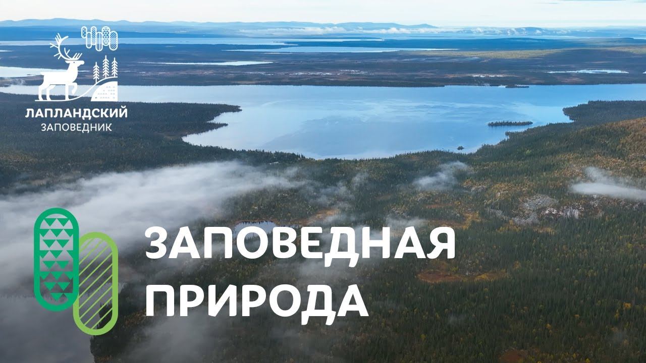 Заповедная природа