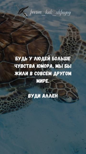 Изречения успеха.