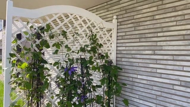 Miejski taras - jak wykorzystać drewniane donice ogrodowe? Z wizytą u Roseberry Home 🖤 смотреть онлайн