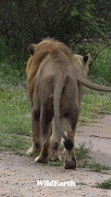 Oh So Sneaky! смотреть онлайн