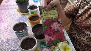 Будни в Сибирской деревне. Посадка семян и уход за рассадой