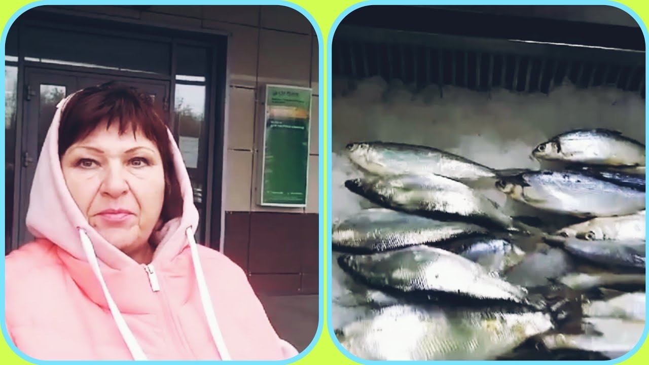 ЖИЗНЬ В СИБИРИ/парк в селе Казанское/Сибирь богата рыбой/вареники с капустой