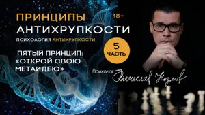 Психология Антихрупкости. Принцип пятый «Открой свою Метаидею».