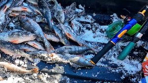 Зимняя рыбалка в марте,окунь порадовал поклёвками