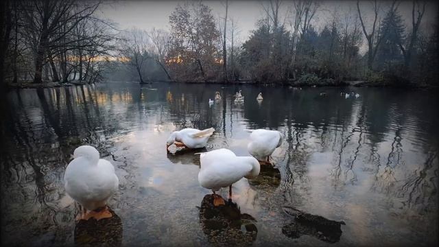 Вірш про Україну. Вірш про українське село. Україна