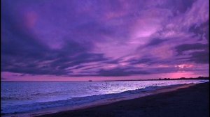 Deep Purple - Art Van Damme -  Played by Yana Fedoruk