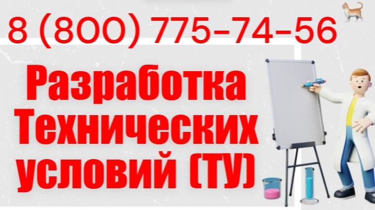 Разработка Технических условий (ТУ)