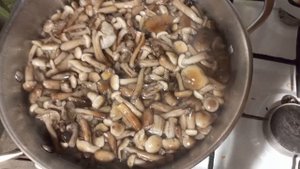 Маринованные опята. Самый простой и вкусный рецепт