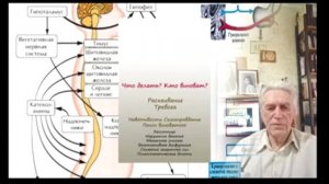 Стресс. Что случилось. Что делать. Две стратегии преодоления стресса