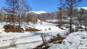 Весна в горах. И я обрету покой.