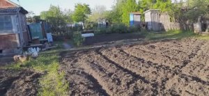 ОГОРОД_ГОТОВ🏠❤️ОТВЕТЫ_НА_ВОПРОСЫ_,О_ДАЧЕ[1]