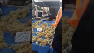 Рынок в Махмутларе  по вторникам!