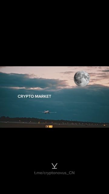 cryptonovus_CN