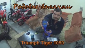 Родовые болячки и особенности Triumph Tiger 1050