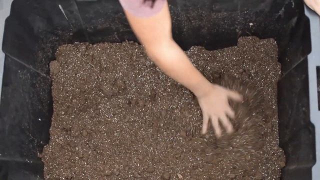 DIY Seed Starting Mix | An Easy Recipe | Gardening Tips смотреть онлайн