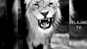 NASHID YA-IHVATI... НАШИД Я ИХВАТИ... ياخواتي نشيد