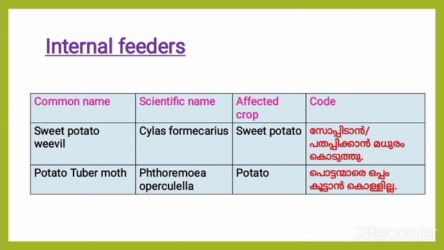 Agriculture | Memory Tips| Primary Storage Pest | #fso_psc #kpsc #fssai#FCI#HMguidance смотреть онлайн